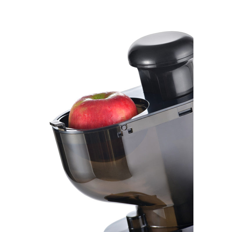 Pensonic Slow Juicer Extractor (2000W) PJ-7002