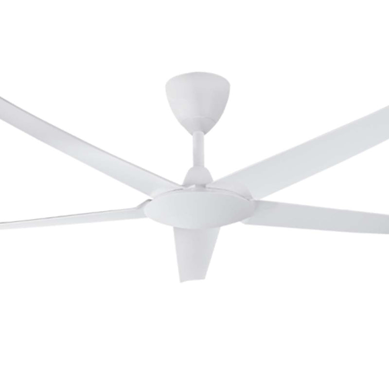 Alpha Cosa Ceiling Fan (56") EX9-5B/56 (Matt Black / Matt White)